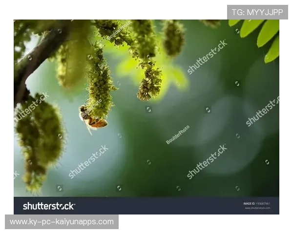 ¦ó+¡-+¦ãÃ+¦½Â¥